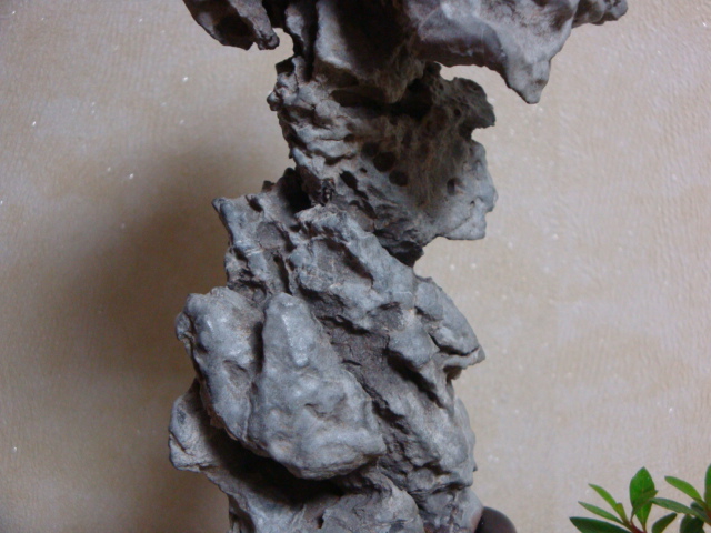 DSC08914.JPG