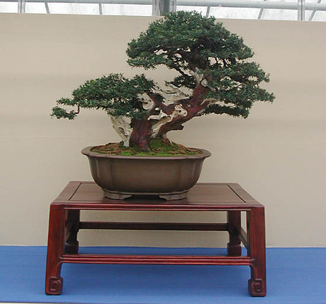 20081122_b061591e16364866c644gVv37jDRPFdU.jpg