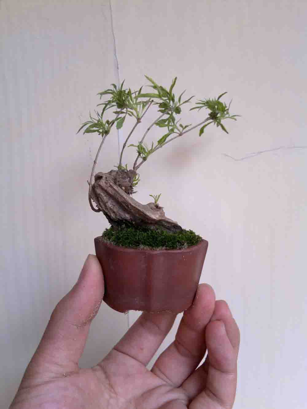 20120516931.jpg