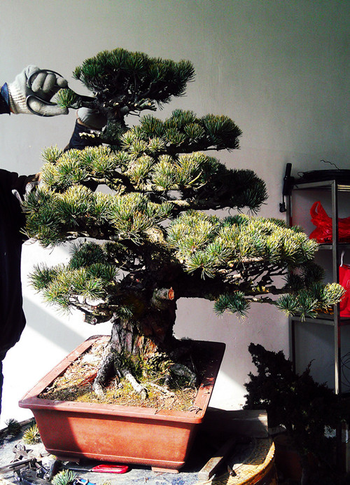 IMAG0808__.jpg