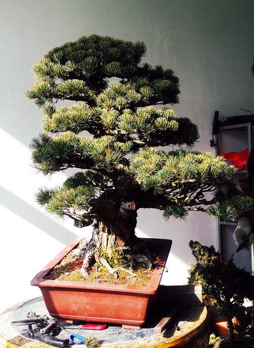 IMAG0792__.jpg