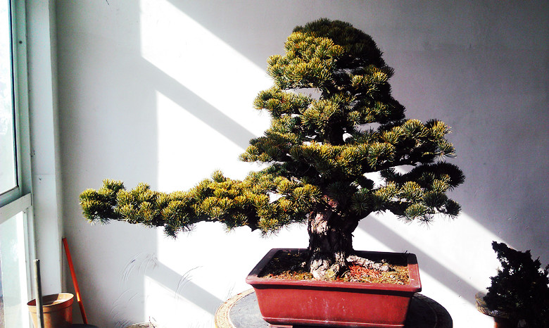 IMAG0775_.jpg