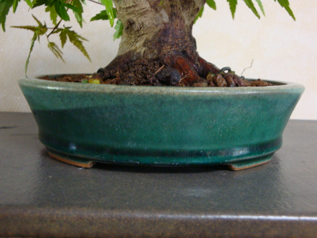 DSC08978.JPG