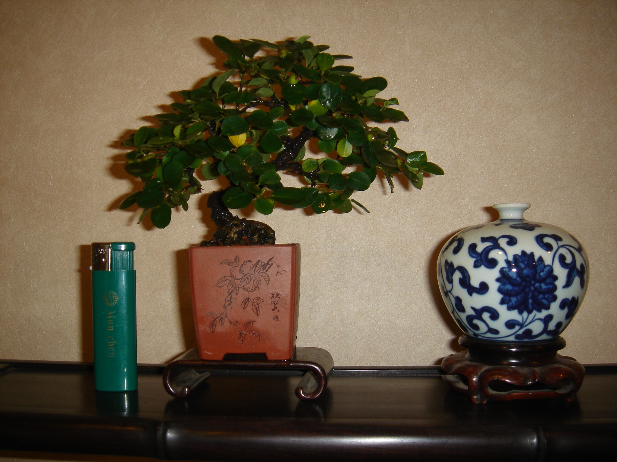 DSC02692.JPG