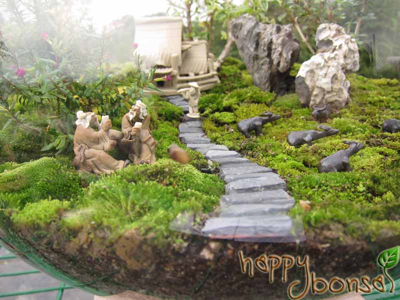 Bonsai-Club-Competition-114.jpg