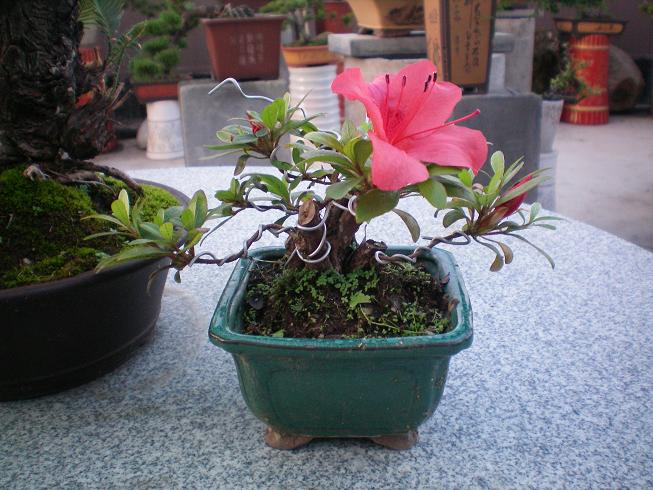 100_0163.JPG