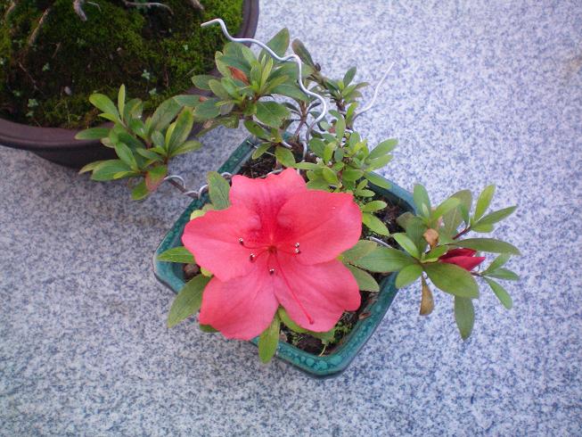100_0164.JPG