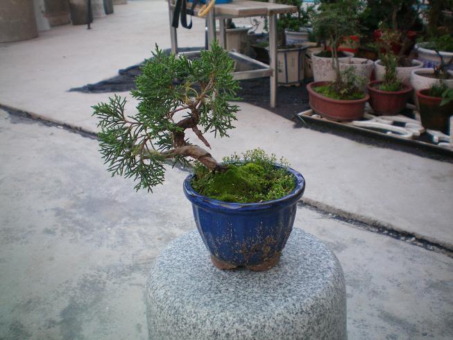 100_0165.JPG