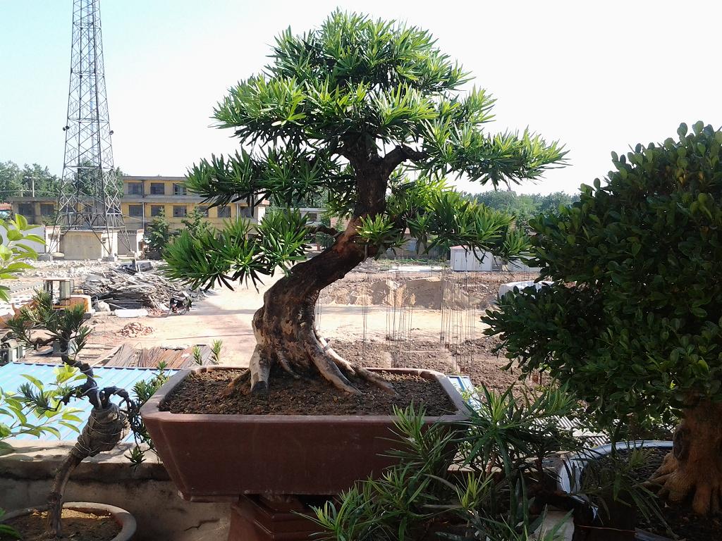 2012-05-20 16.05.16.jpg