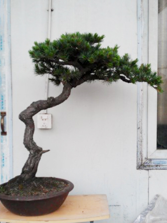 IMAG0635.jpg