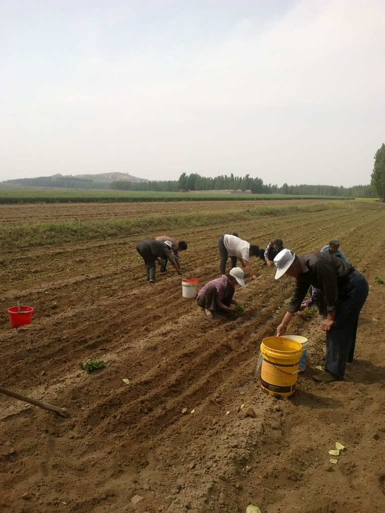 201205111343.jpg