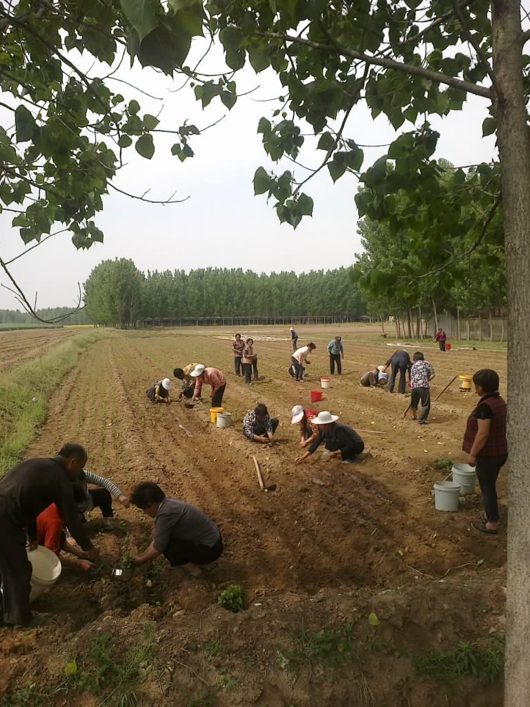 201205111345.jpg