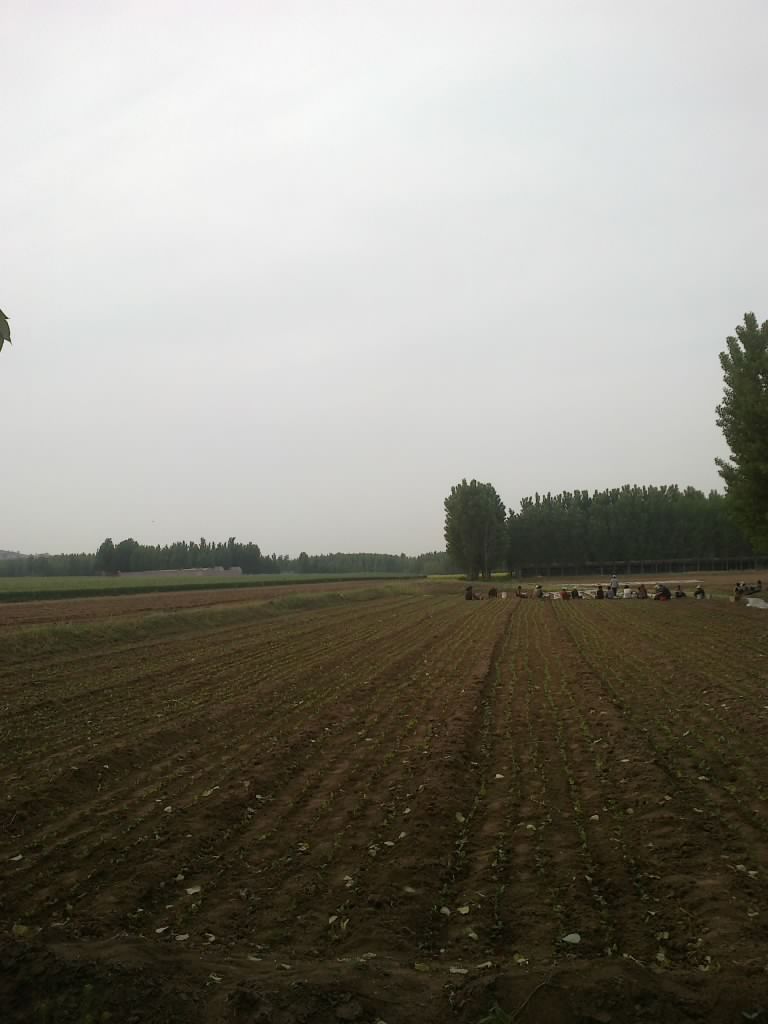 201205111350.jpg