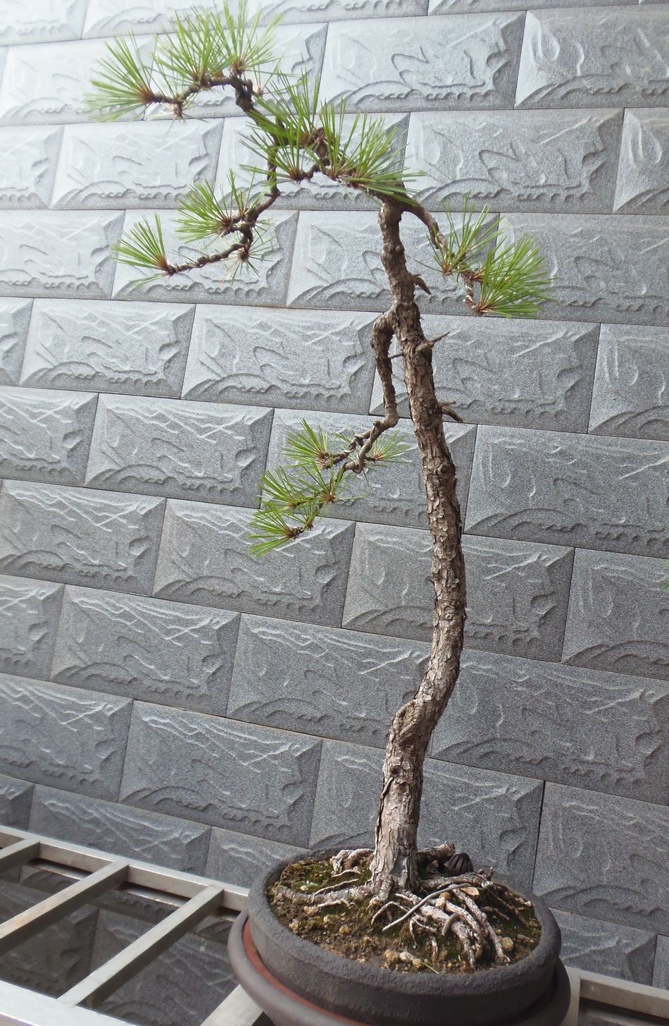 Ƭ 004.jpg