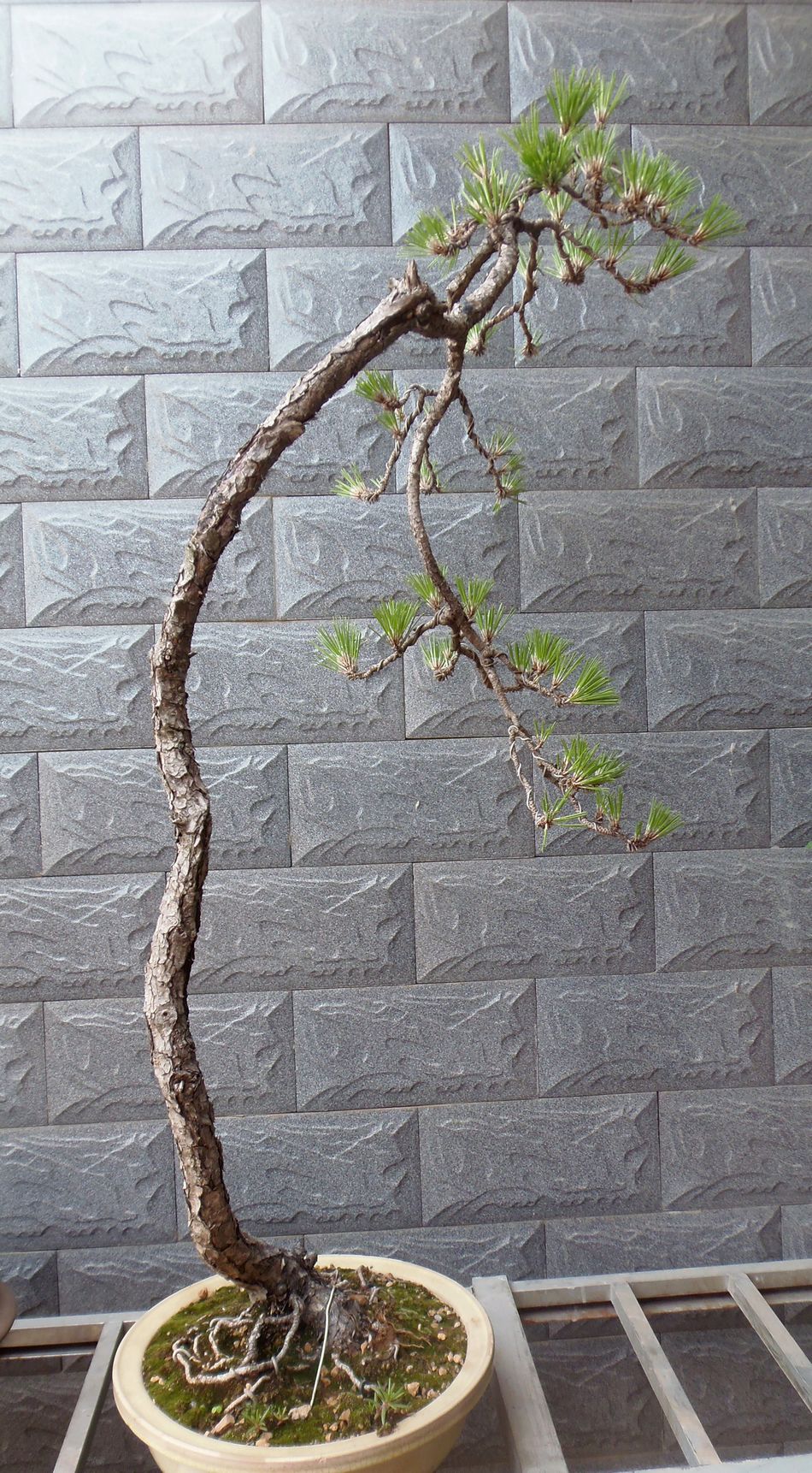 Ƭ 008.jpg