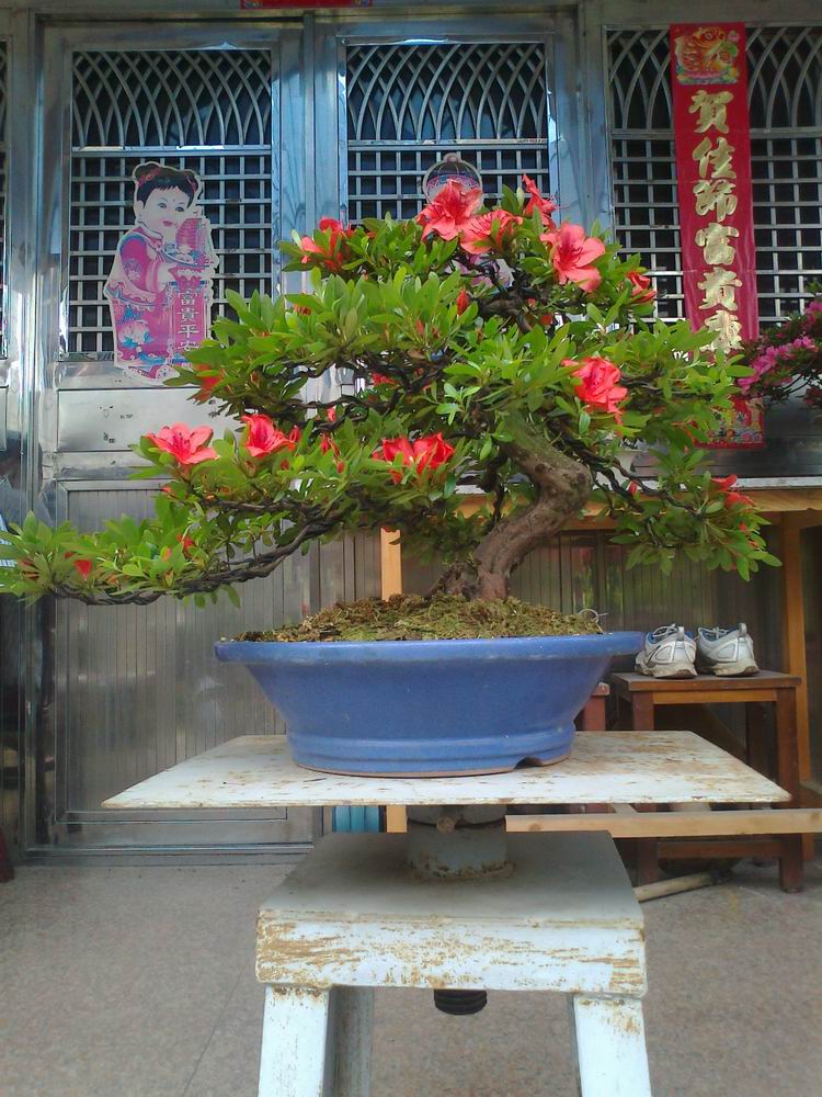 Ƭ0788.jpg