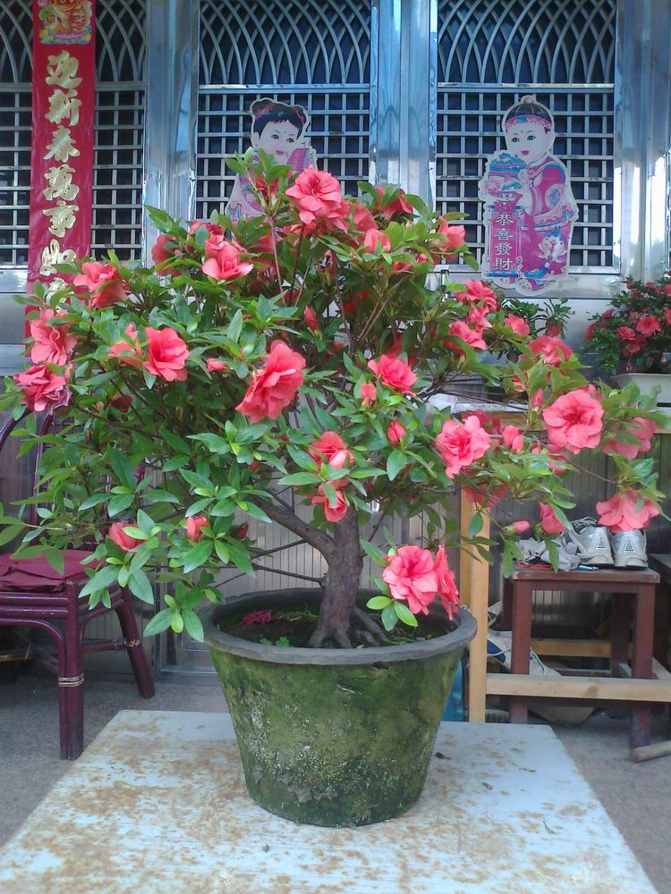 Ƭ0792.jpg