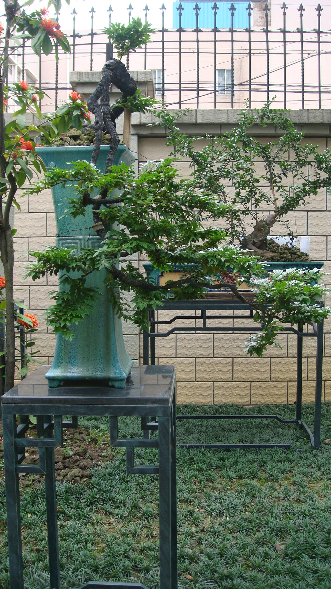 DSC00102.JPG