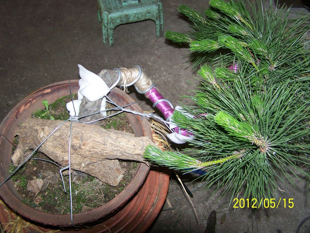 100_4565.jpg