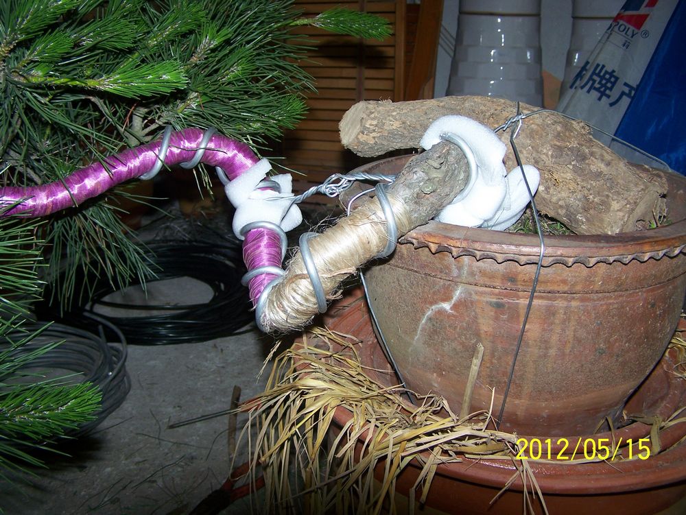 100_4566.jpg