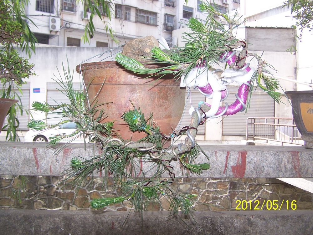 100_4567.jpg