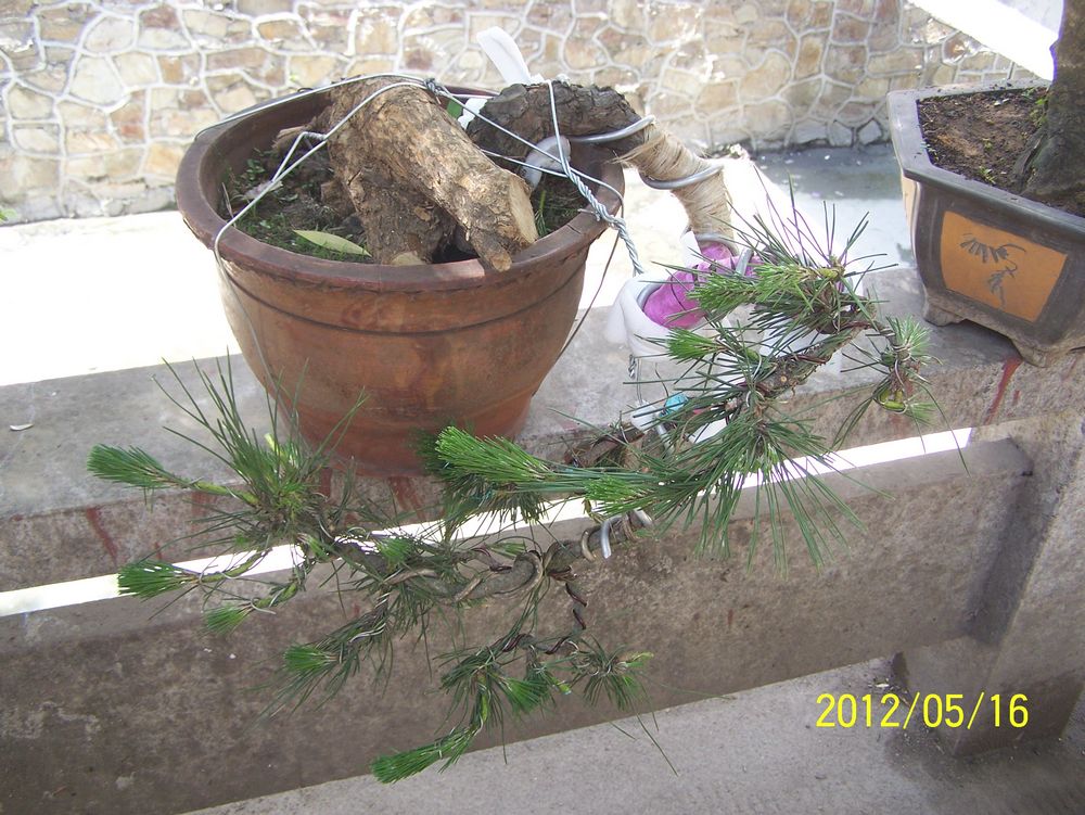 100_4568.jpg