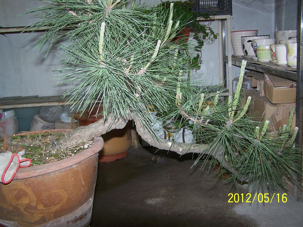 100_4573.jpg