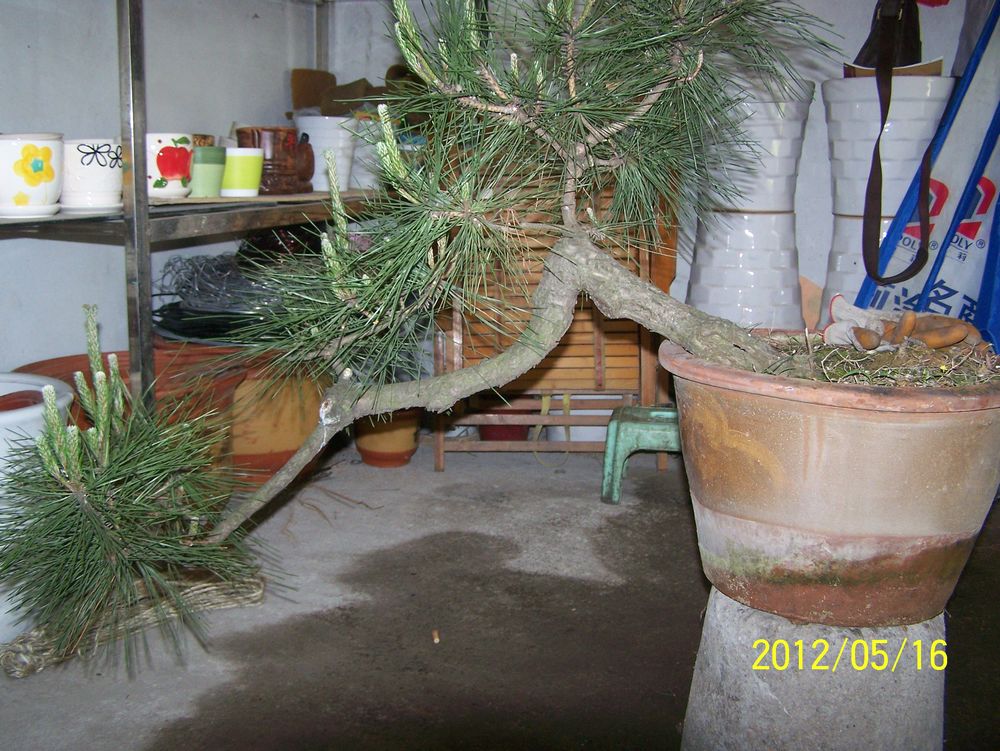 100_4574.jpg