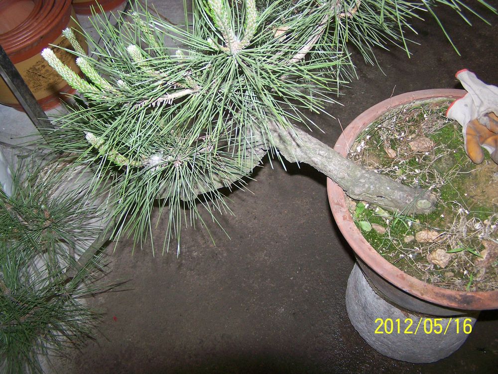 100_4575.jpg