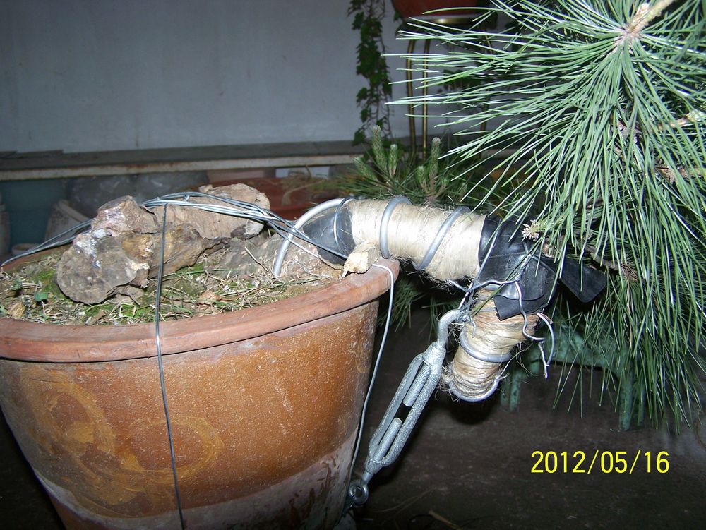 100_4576.jpg
