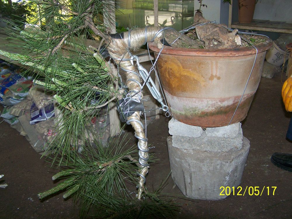 100_4579.jpg