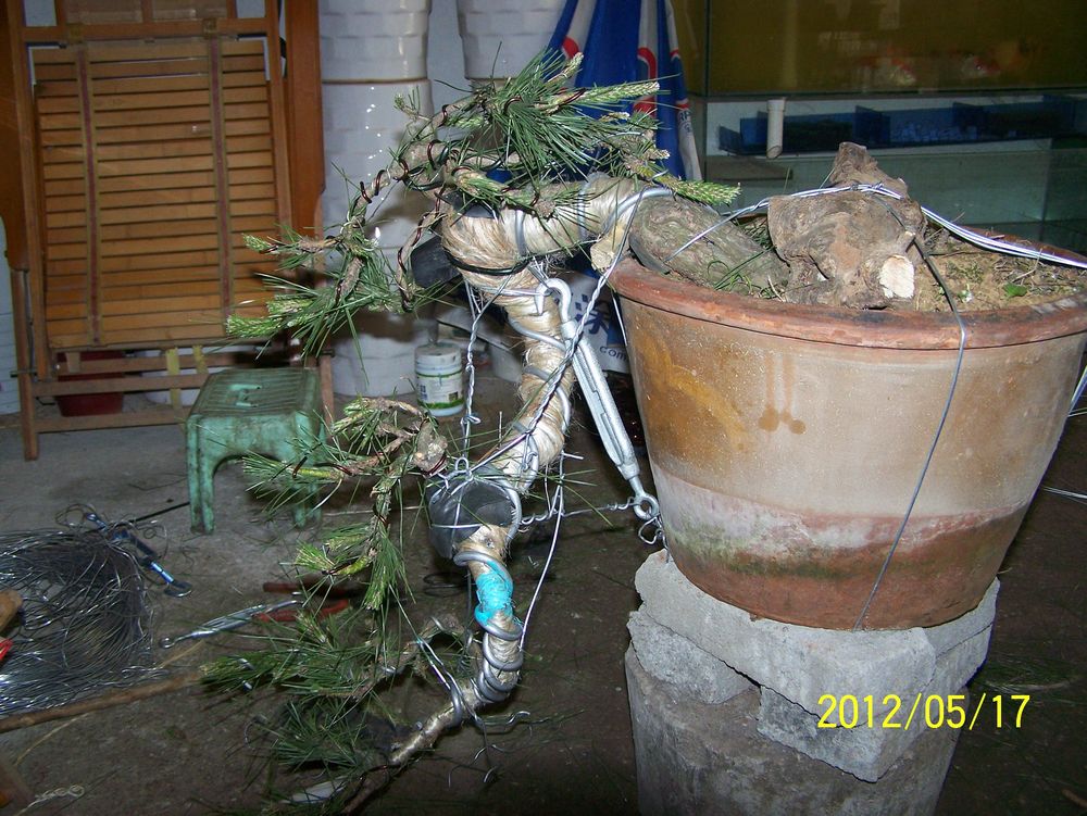 100_4580.jpg