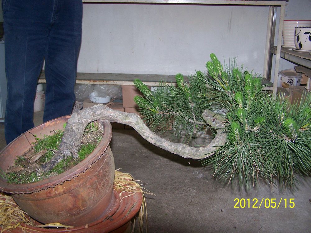 100_4562.jpg