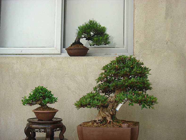 DSC00033_.jpg