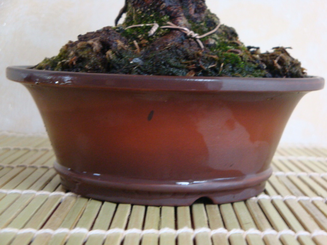 DSC08924.JPG