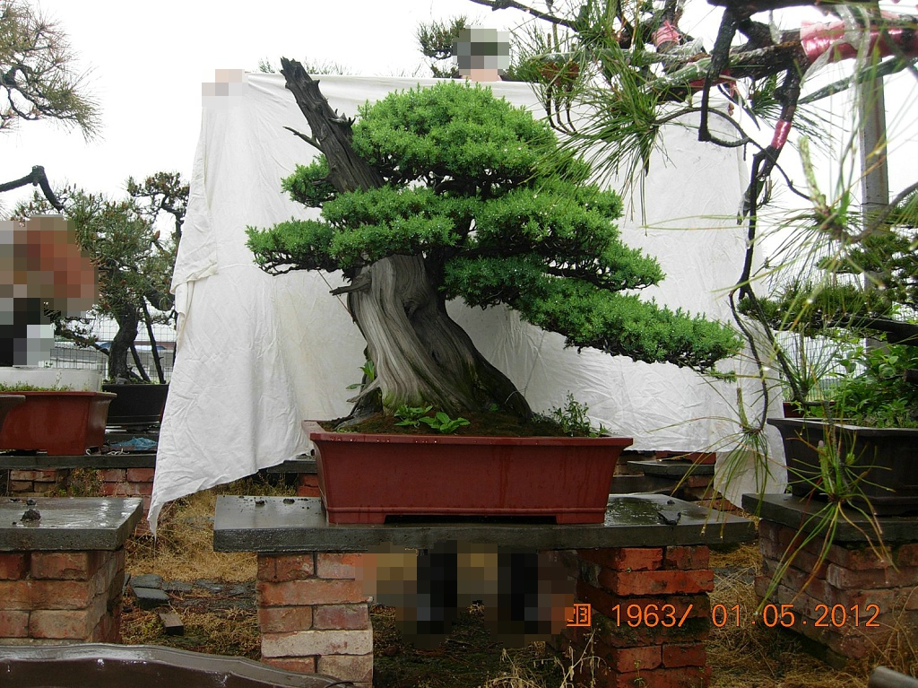 DSCN6010.JPG