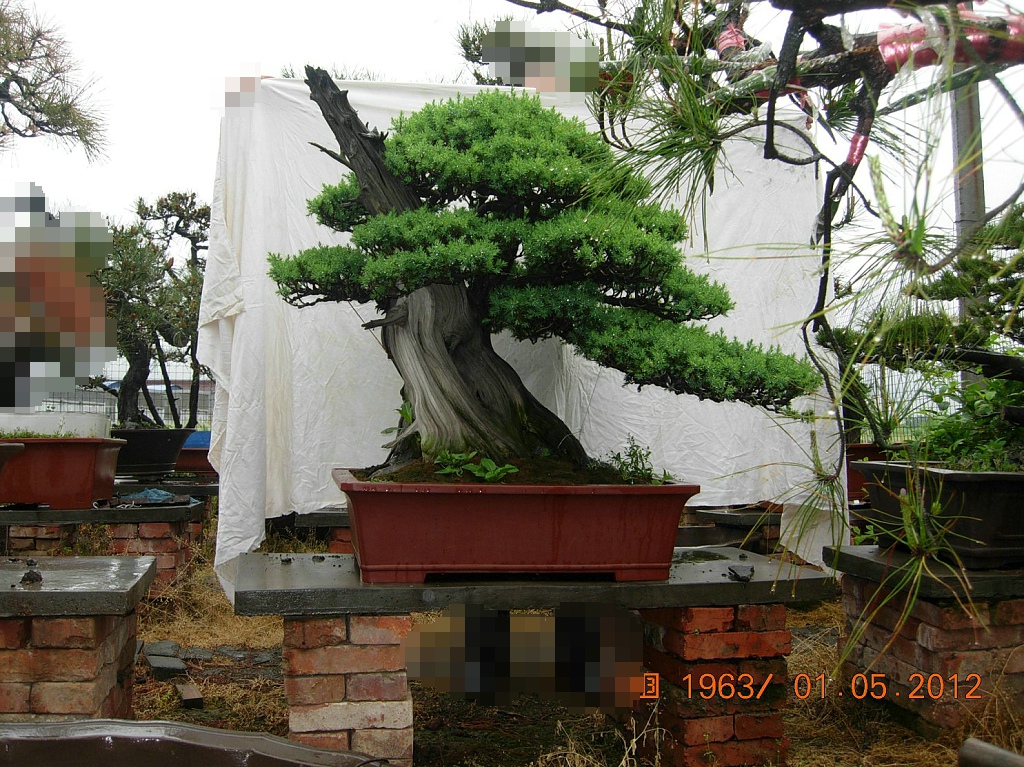 DSCN6011.JPG