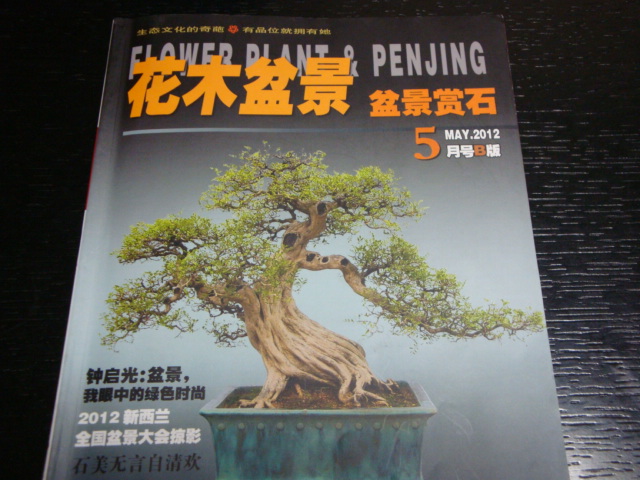 DSC09003.JPG