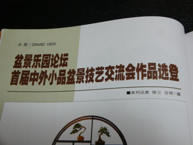 DSC09004.JPG