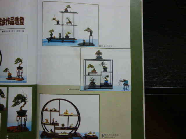 DSC09006.JPG