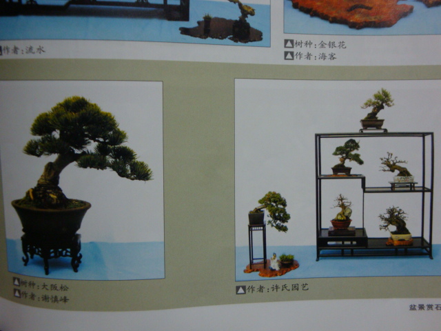 DSC09011.JPG