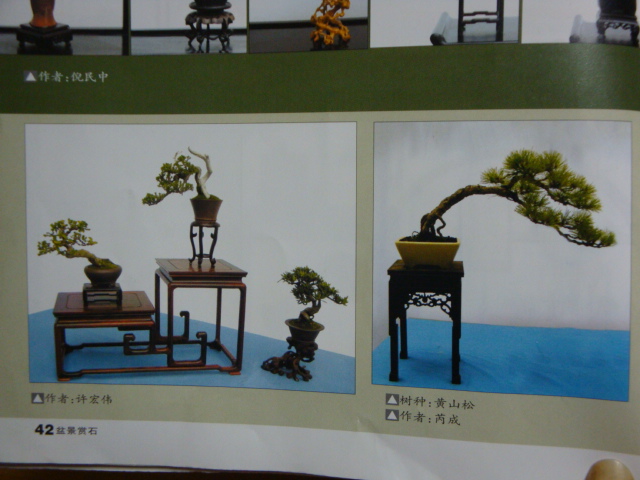 DSC09014.JPG
