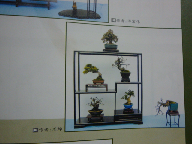 DSC09018.JPG