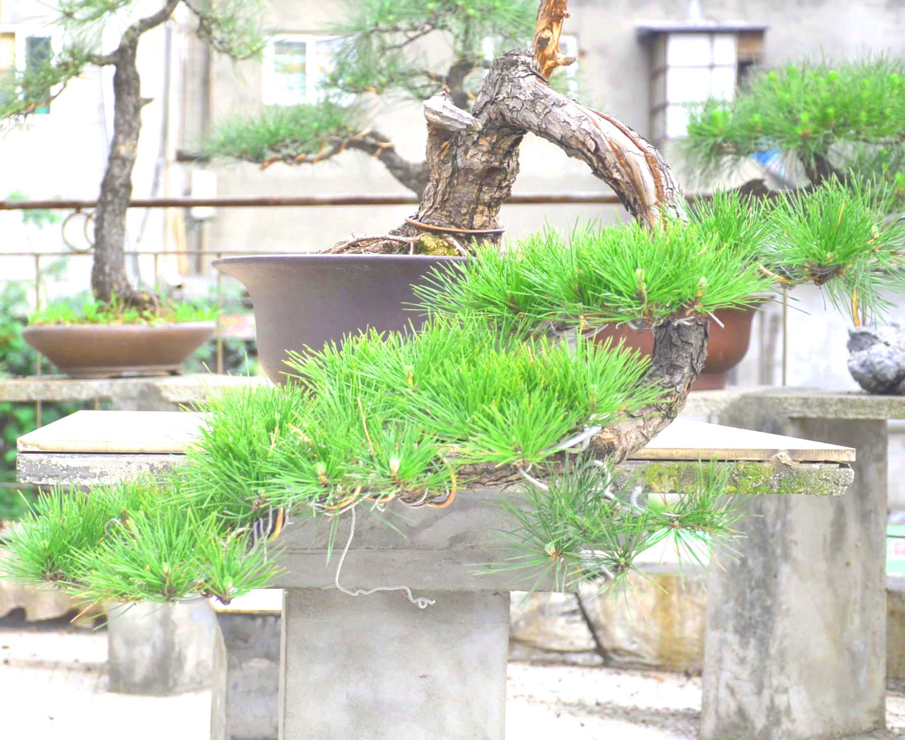Ƭ 051.jpg