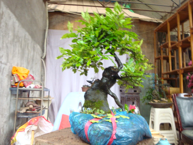 DSC07163.JPG
