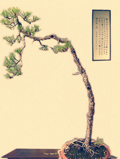 辰123___.jpg