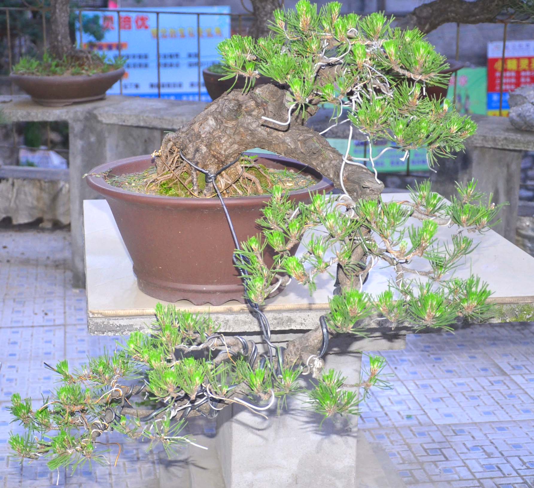 Ƭ 072.jpg