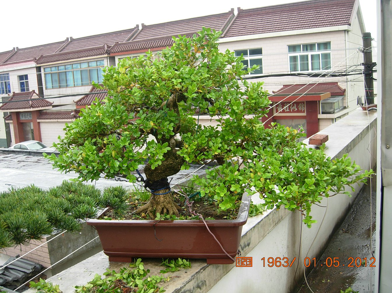 DSCN6045.JPG