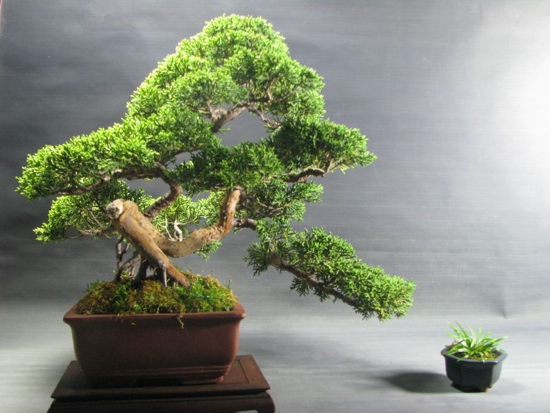 IMG_0119 (800x600).jpg