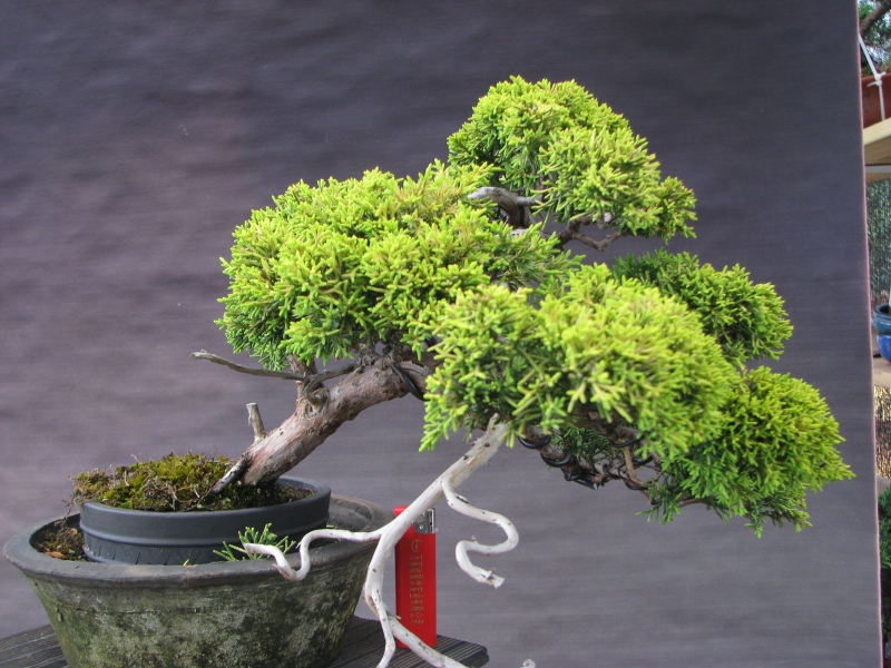 IMG_0163 (800x600).jpg